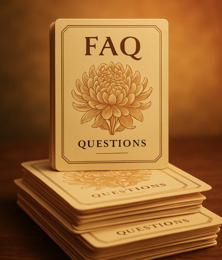 국화 꽃말과 색상별 의미