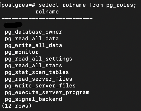PostgreSQL role 확인 쿼리 실행 결과