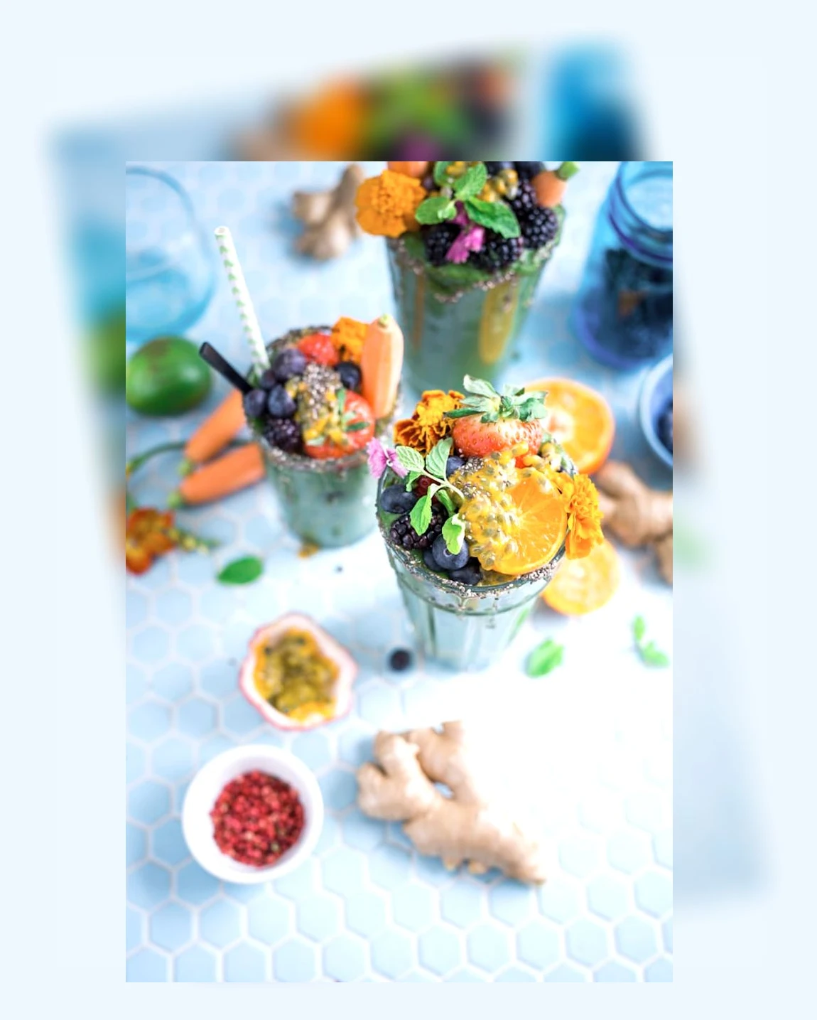 고양이 사료 보관_2_subsection