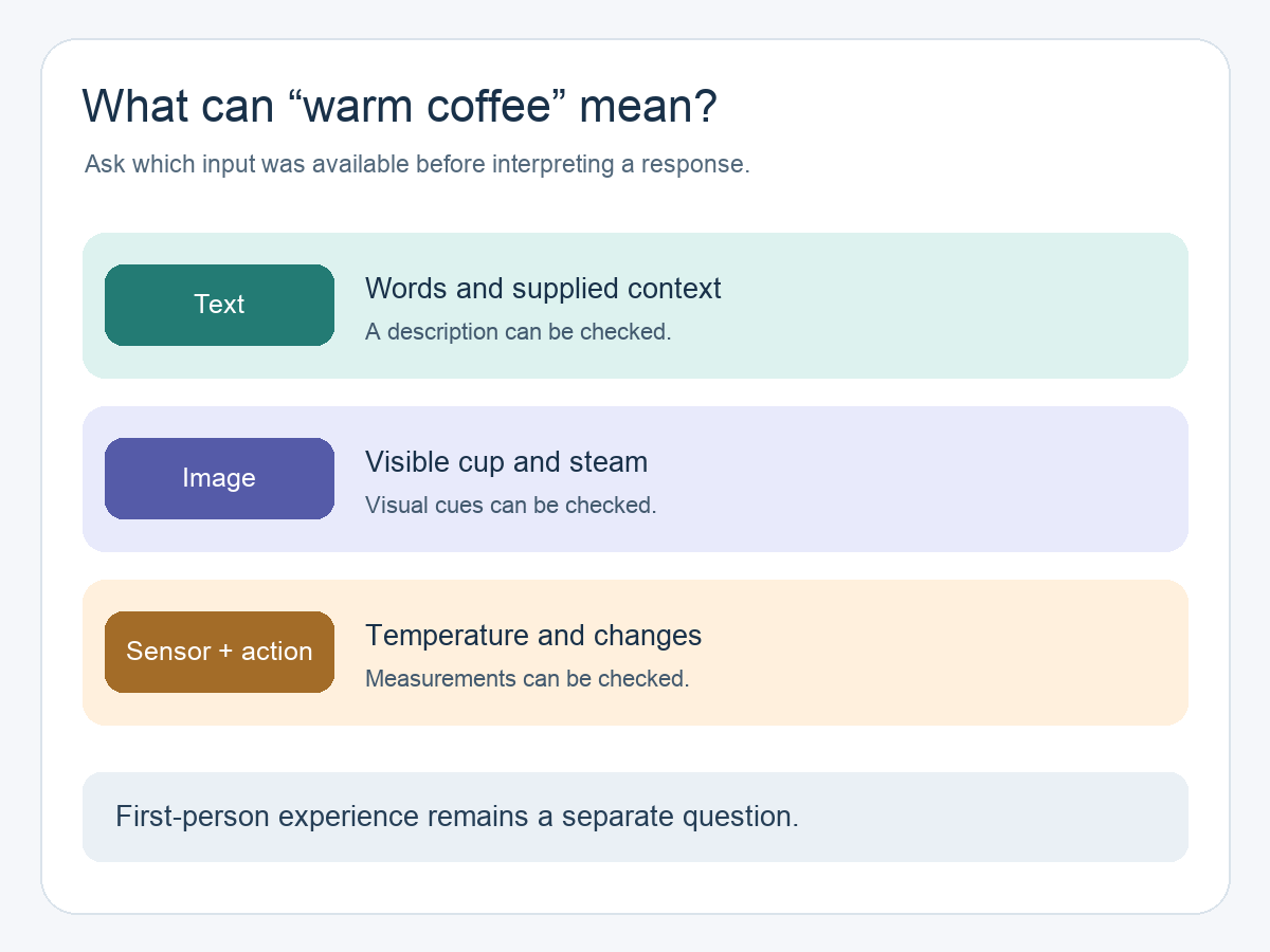 Three kinds of information available for warm coffee: text context, visual image, and sensor or action data; first-person experience is a separate question.