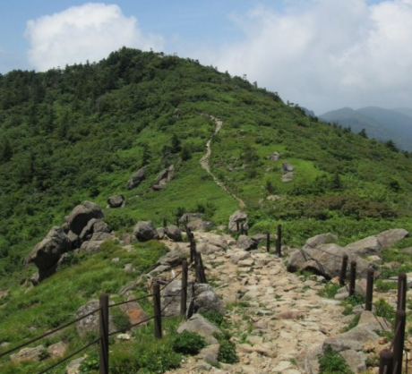 2024년 단풍절정시기