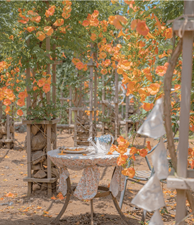 제주도 비체올린 능소화정원1