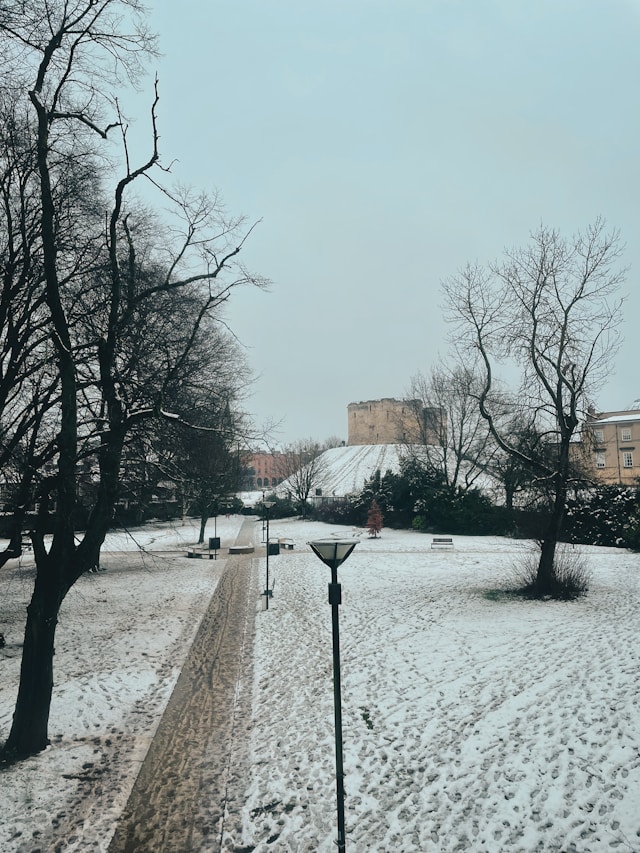 대설주의보 대설경보 차이 기준과 필수 대처법