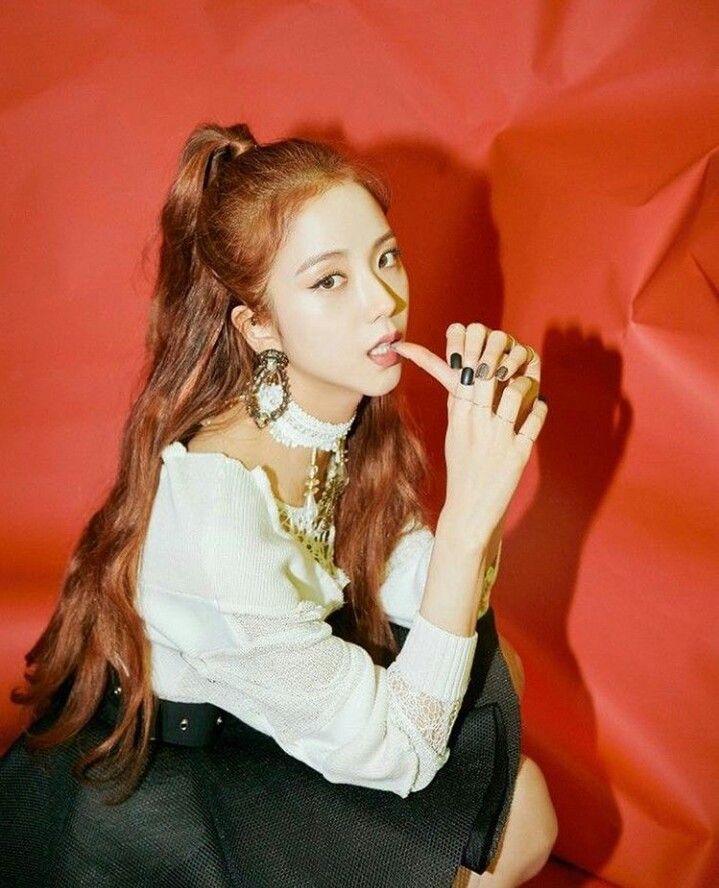 JISOO IN 블랙핑크 지수 입덕