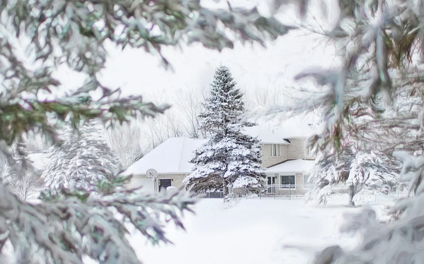 눈이 오는 꿈 &ndash; 정적 속의 감정, 멈춤과 치유의 신호