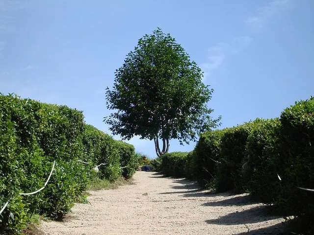 보성 맛집 베스트10 현지인 숨겨진 맛집_4