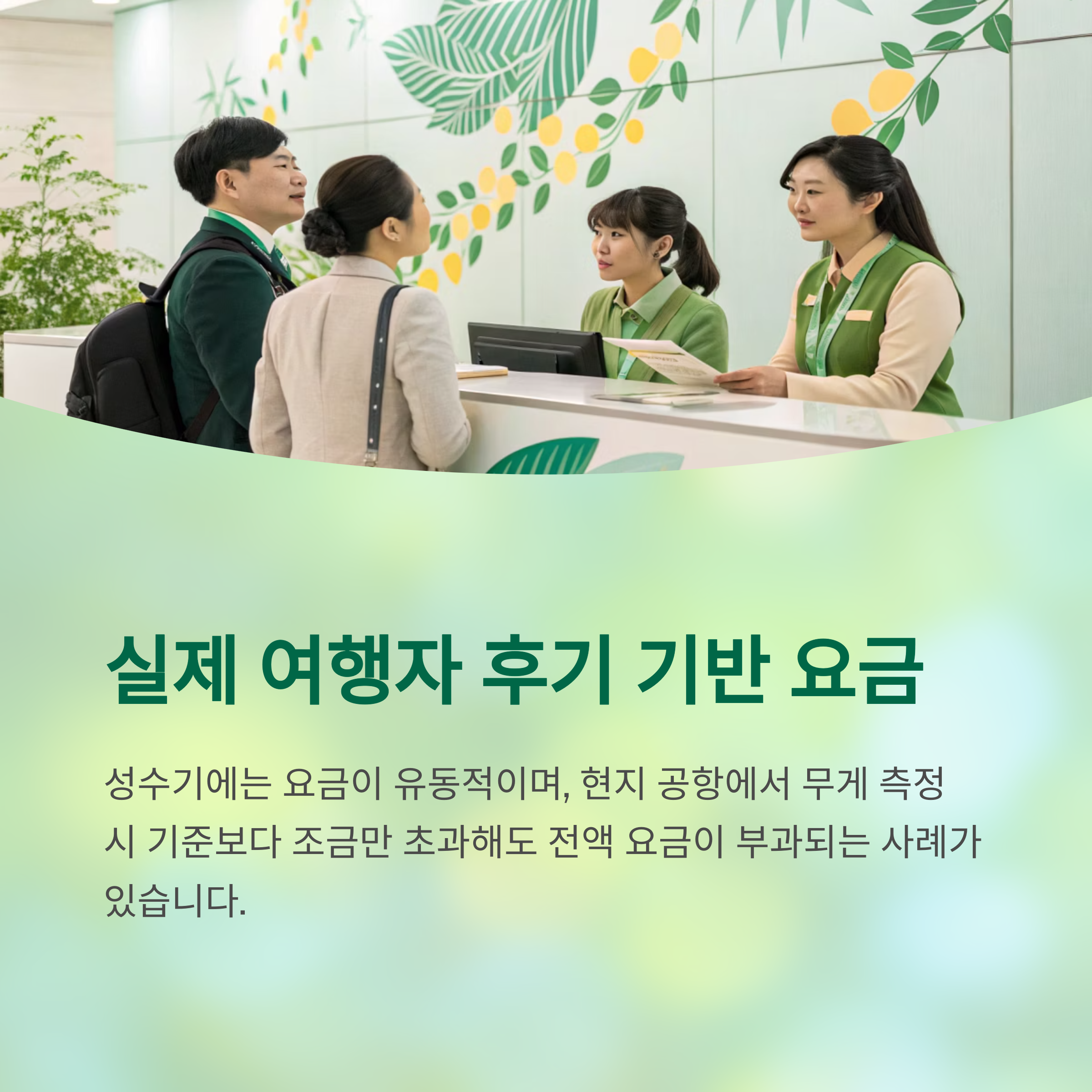 실제 여행자 후기 기반 요금