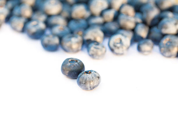 건 블루베리 효능