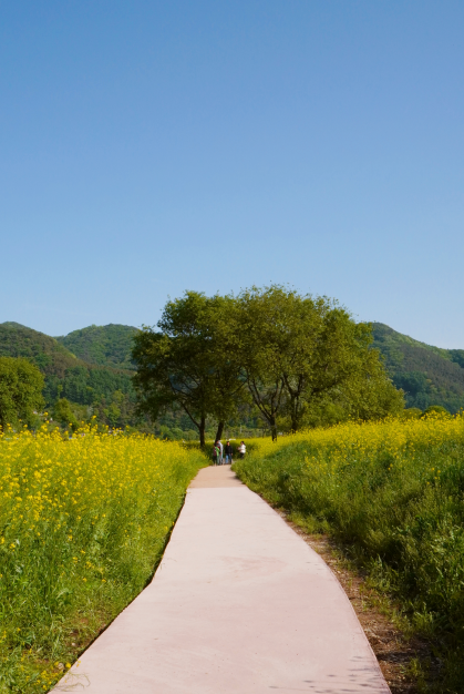 대전 근교 아이랑 나들이 가볼만한곳: 옥천 금강수변친수공원에서 폭싹속았수다의 여운을 느껴봐요^^