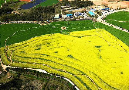 고창 청보리밭 축제 입장료 맛집 숙박 주차