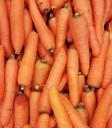 당근마켓 pc버전 다운로드