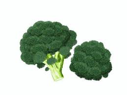 브로콜리 씻는 방법