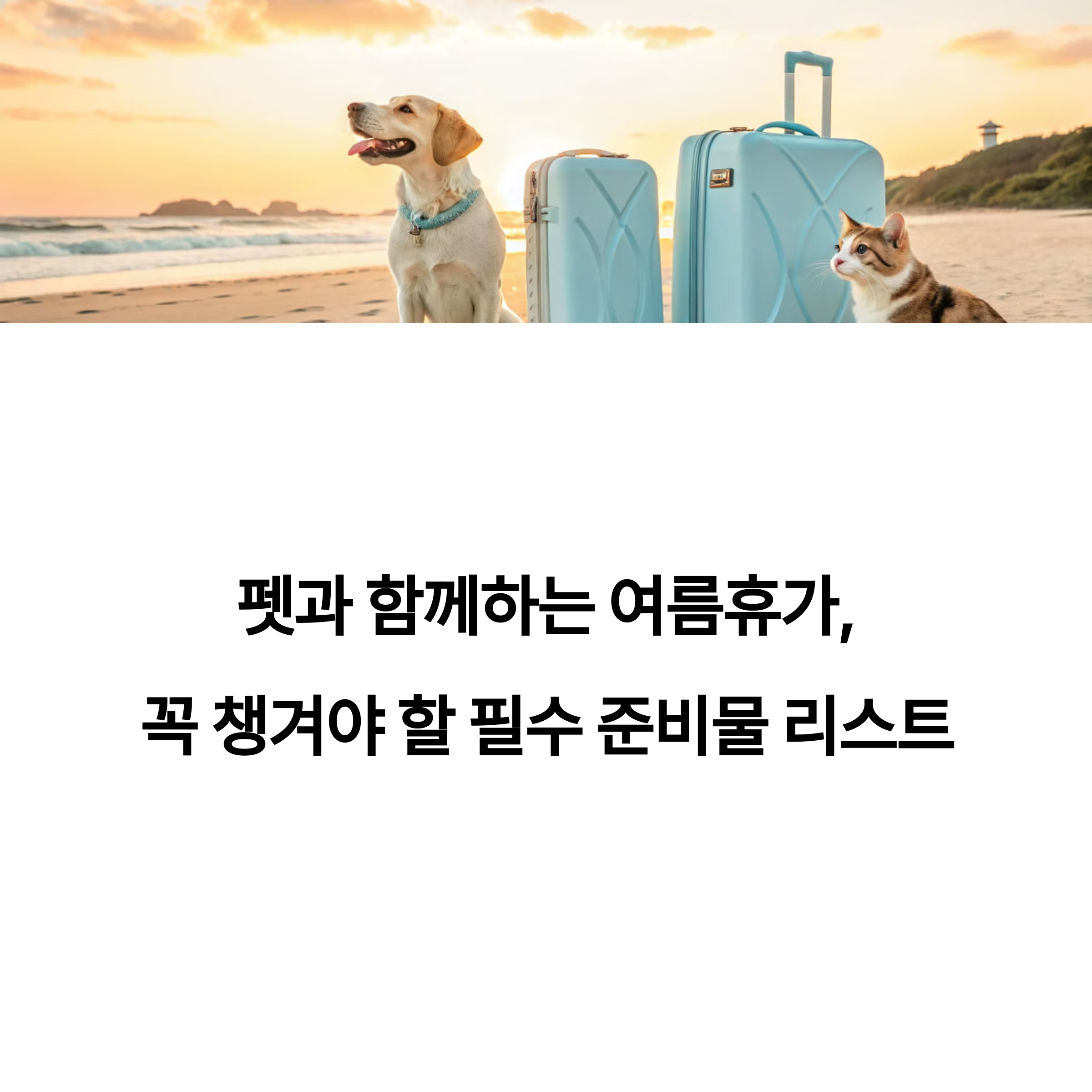 펫과 함께하는 여름휴가, 꼭 챙겨야 할 필수 준비물 리스트