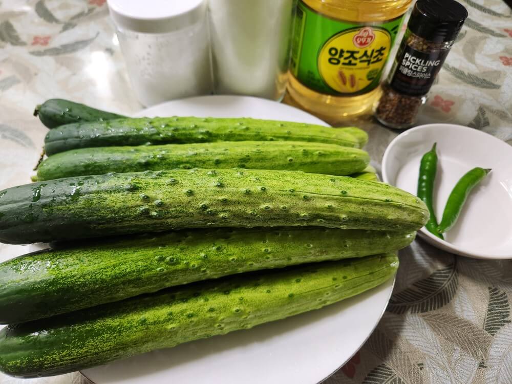 수제 반찬 오이피클 만들기 밑반찬 레시피