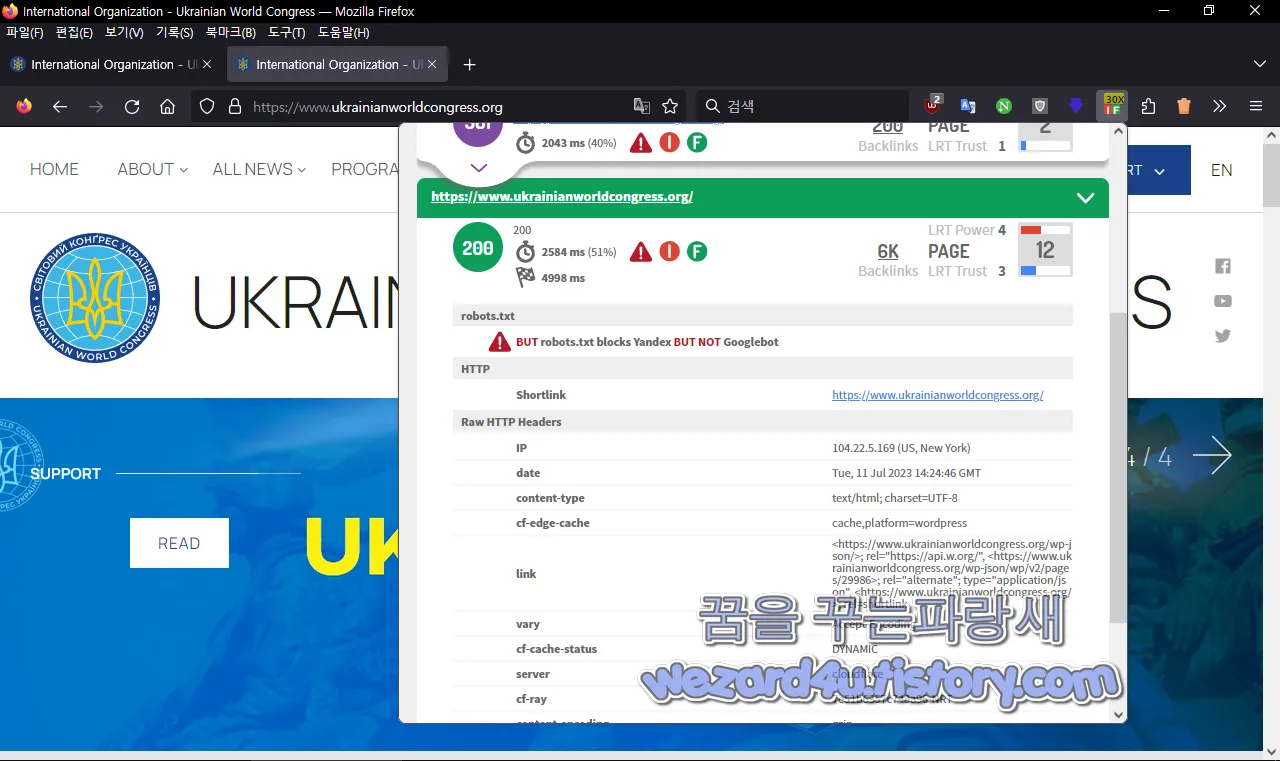 진짜 사이트 정보