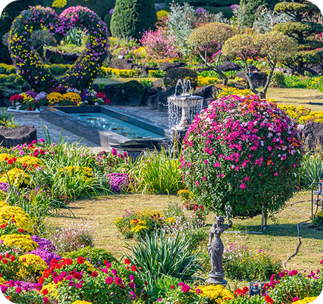 벽초지수목원 가을국화축제 이미지/ 출처: 벽초지수목원 홈페이지