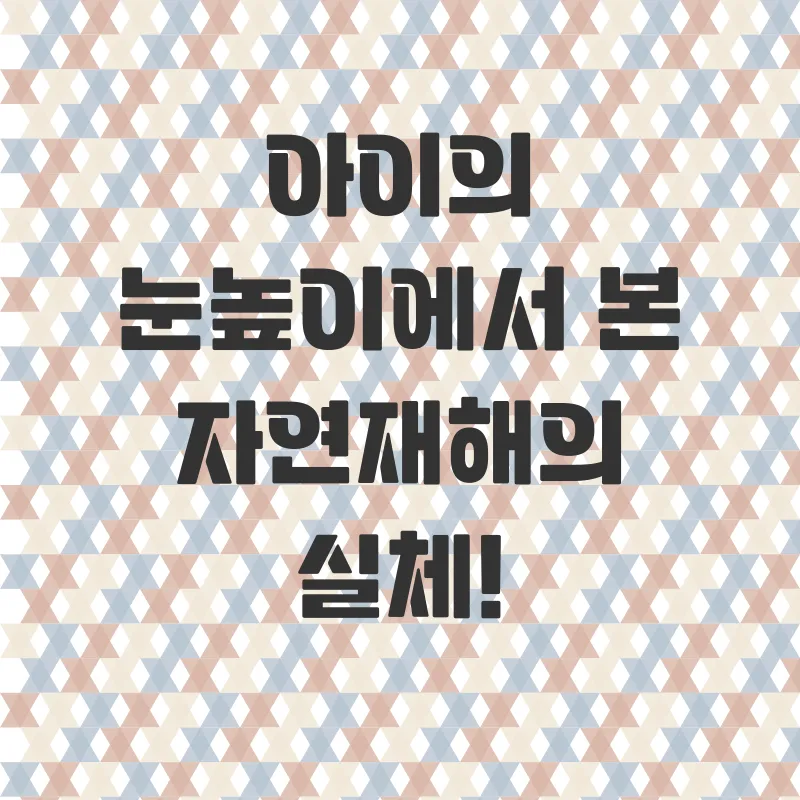 자연재해 이해_1
