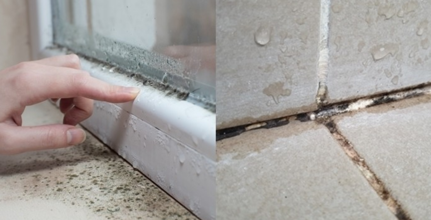 욕실 곰팡이 제거하는 방법에 대해서 알아보자