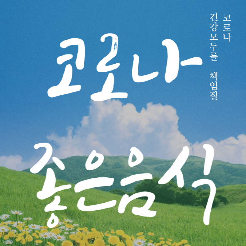 코로나에 좋은 음식