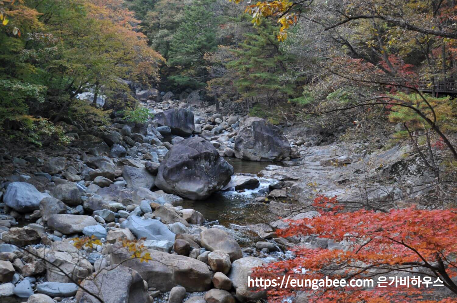 산청 대원사 계곡