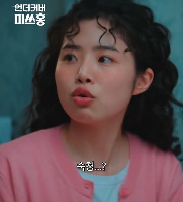 드라마 언더커버 미쓰홍 강노라 소개 및 배우 최지수 프로필