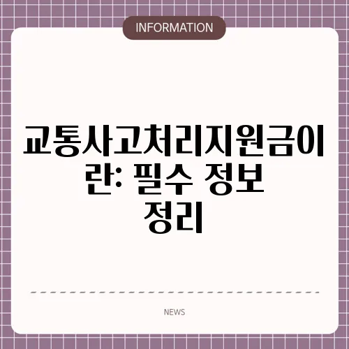 교통사고처리지원금이란: 필수 정보 정리