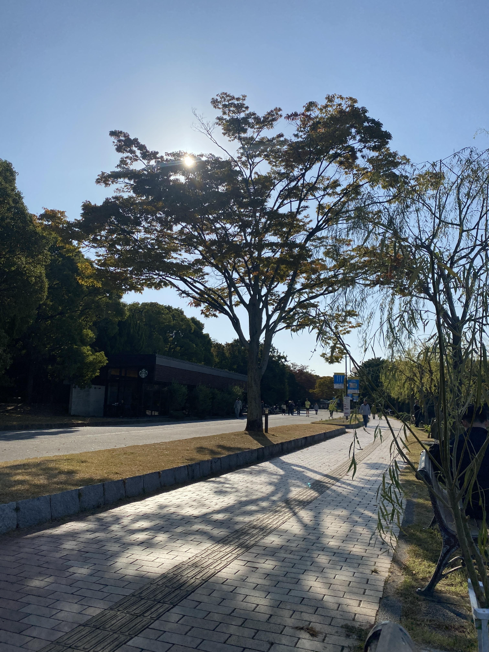 후쿠오카 오호리 공원