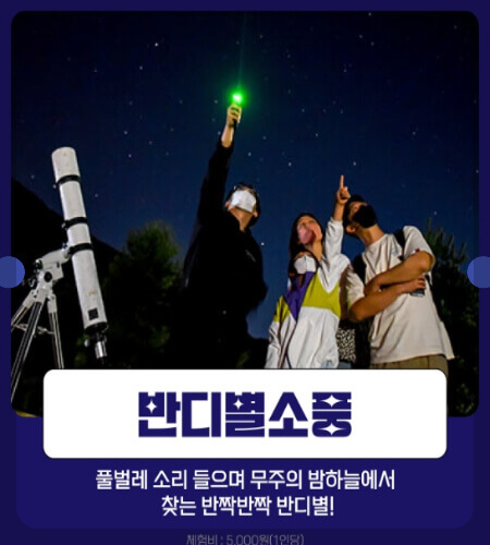 무주반딧불축제 예약_4