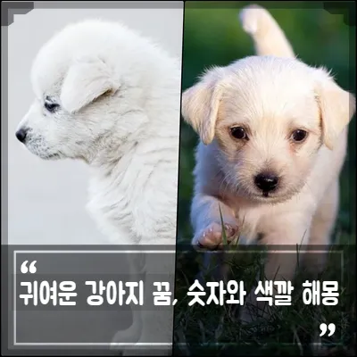 강아지를 안는 꿈의 의미와 해몽을 총정리한 내용_2