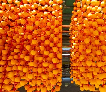 상주-곶감-구릿뜰농원