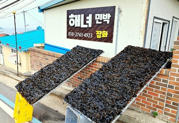 한국인의밥상-영덕-미역-석리마을-따개비마을