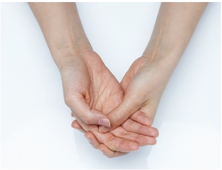 수족냉증에 좋은 음식