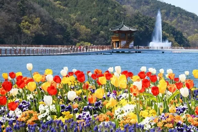 대구 달성군 교항리 이팝나무군락지 이용시간, 주차정보