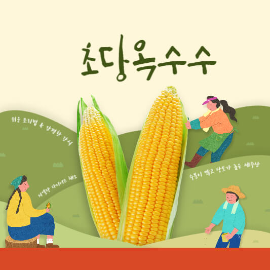 초당옥수수 삶는법 및 보관법