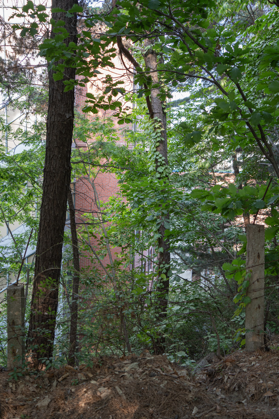 숙지산 수원 아파트