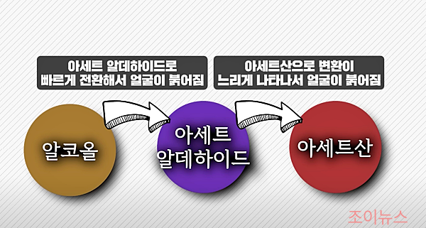 아세트알데히드의 독성_지식인사이드유튜브