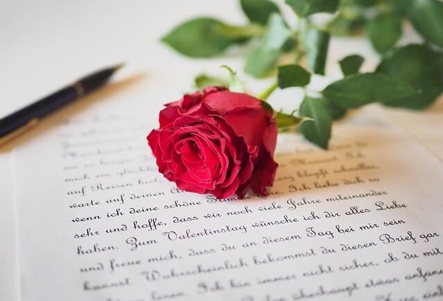 빨간 장미 한 송이