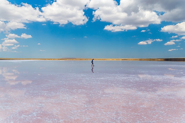 호주 오스트레일 호수 핑크 레이크