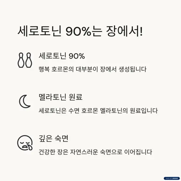 세로토닌의 생성과 장의 관계를 설명하는 아이콘 중심 인포그래픽