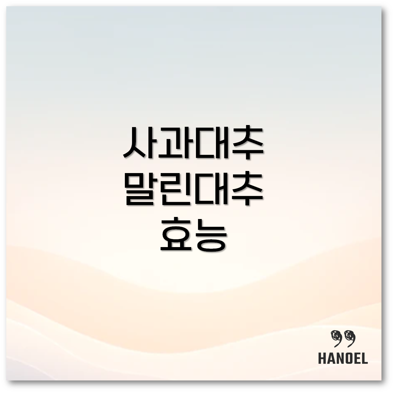 사과대추 효능1