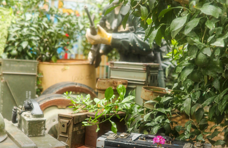 6시내고향 한라봉 제주 서귀포시 쇠소깍산물관광농원