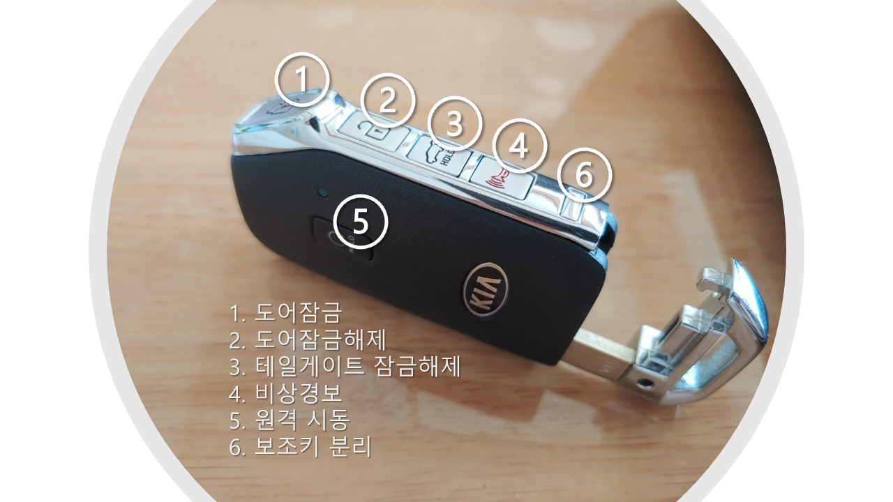 셀토스 스마트 키 기능 설명