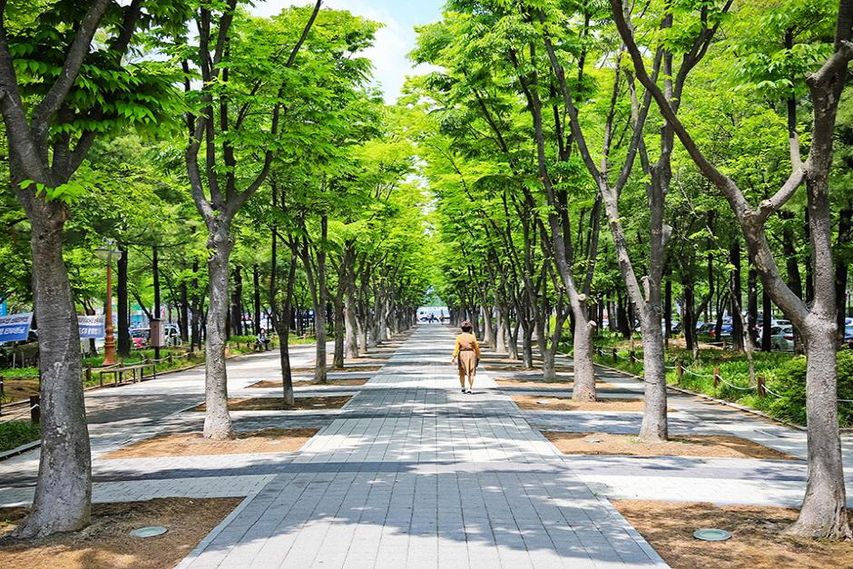 공원