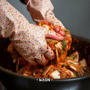 김장김치 양념 황금레시피