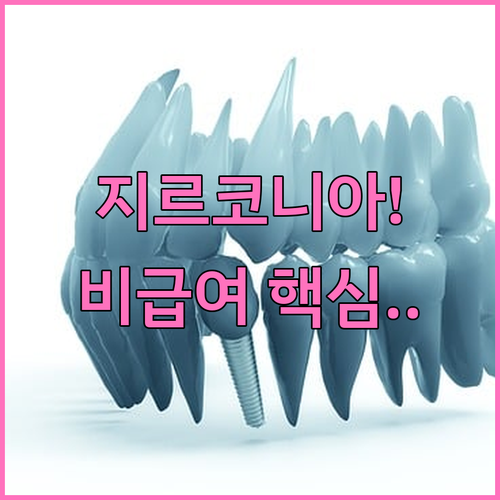 지르코니아 선택은 전액 비급여 임플란..