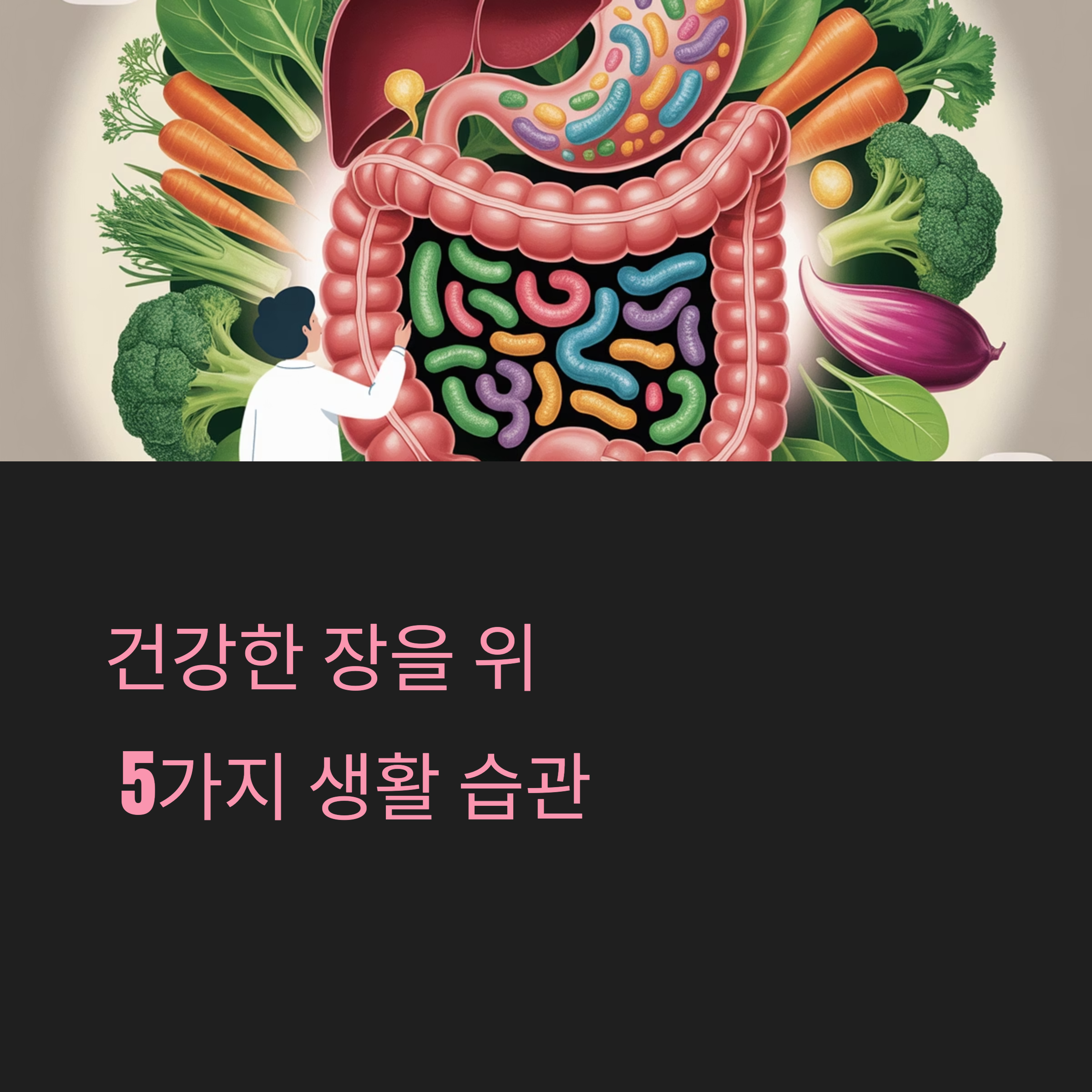 장 트러블 예방하는 식습관 루틴