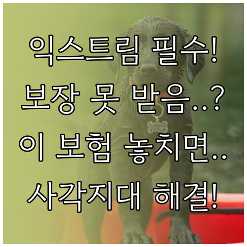 고위험 레저 활동 보장, 일반 여행자..