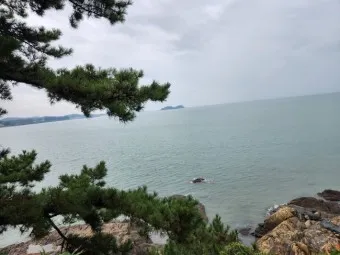 보령 월전리 죽도 상화원 가는법_27