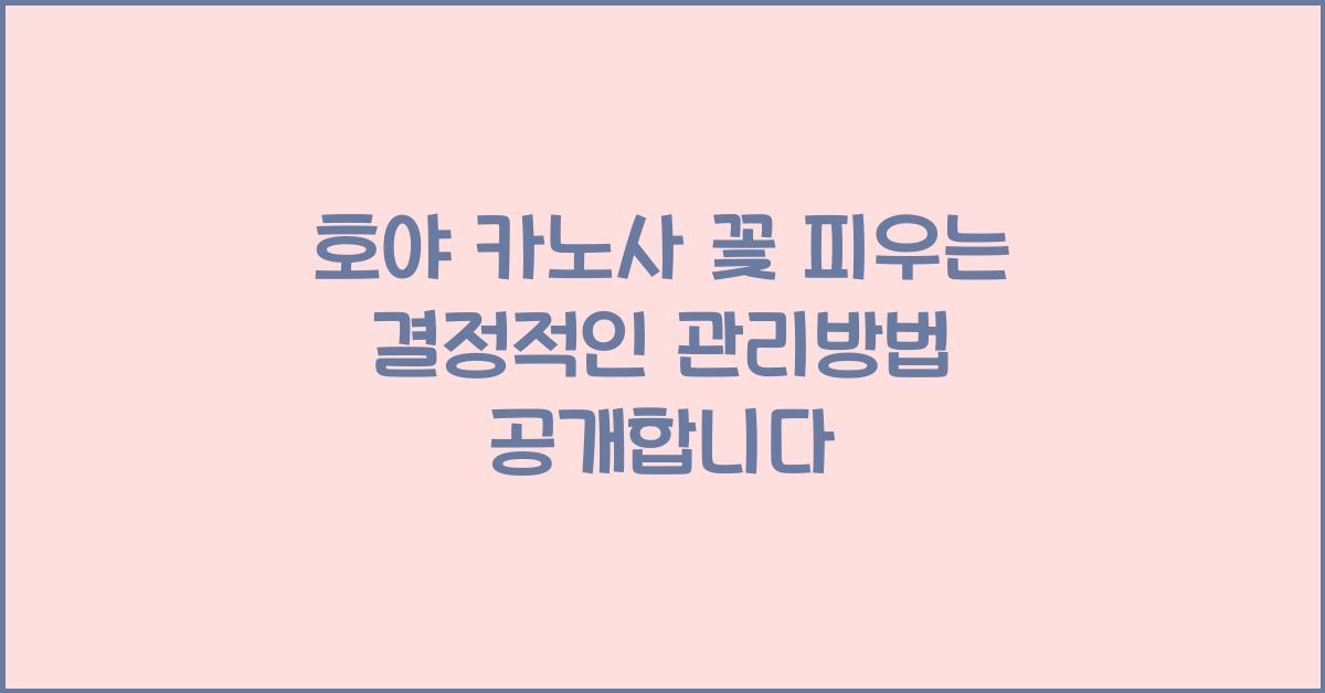 호야 카노사 꽃 피우는 결정적인 관리방법