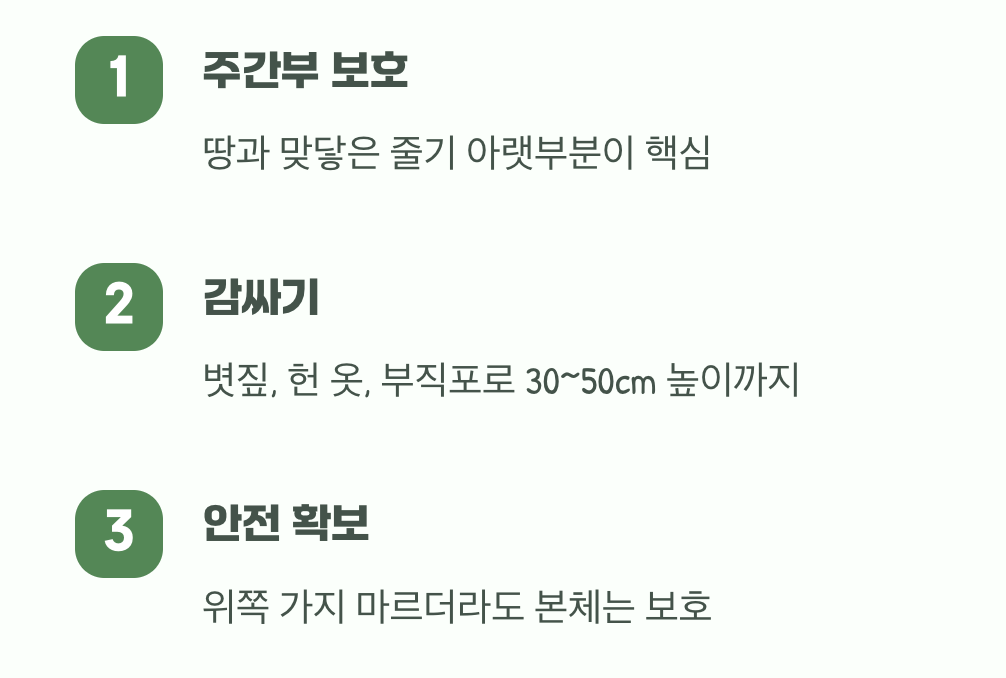 어린 줄기를 위한 바람막이 옷